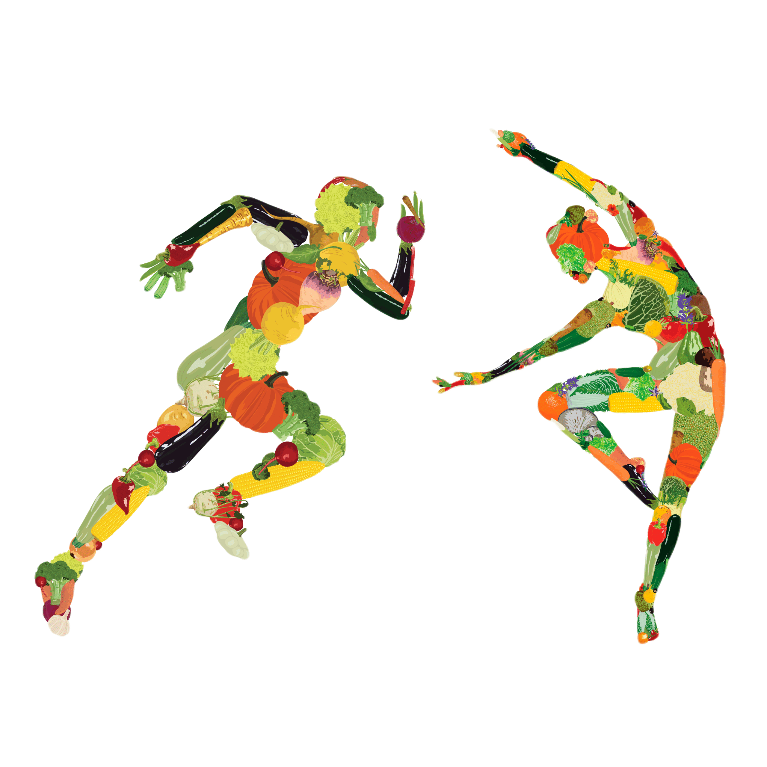 Chikitsanjana: A 17th century book of Ayurveda