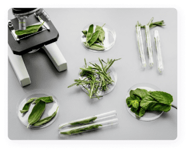 New approaches in developing medicinal herbs databases