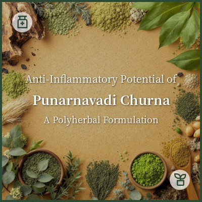 Anti-Inflammatory Potential of Punarnavadi Churna – A Polyherbal Formulation