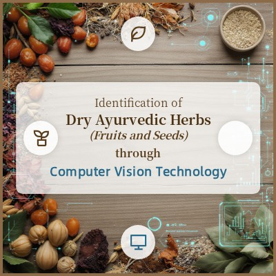 Identification of Dry Ayurvedic Herbs (Fruits and Seeds) through Computer Vision Technology