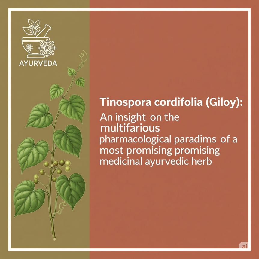 Tinospora cordifolia (Giloy): An insight on the multifarious pharmacological paradigms of a most promising medicinal ayurvedic herb,